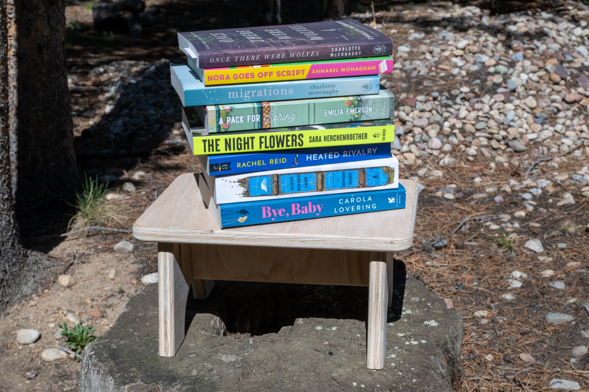 Wooden Stool Workshop