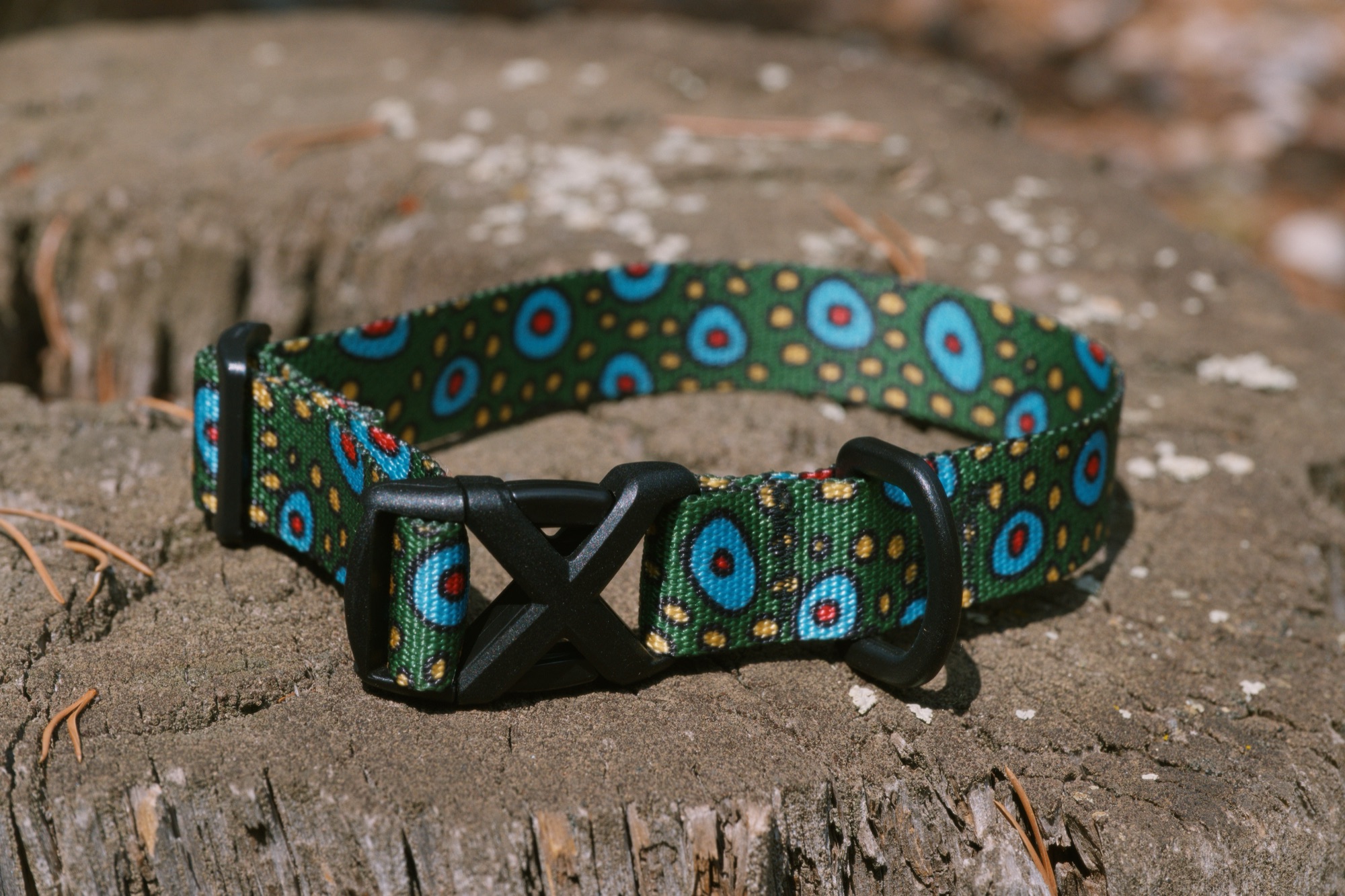 Dog Collar Workshop